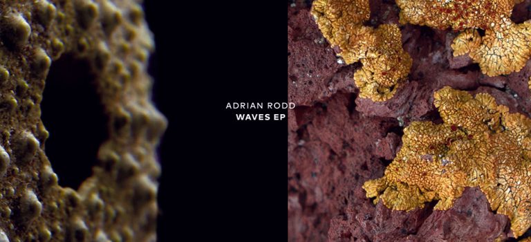 Adrian Rodd – Waves – Cochlea Music – Recommended